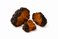 Organic Wildcrafted Chaga Extract