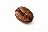 Organic Rainforest Arabica