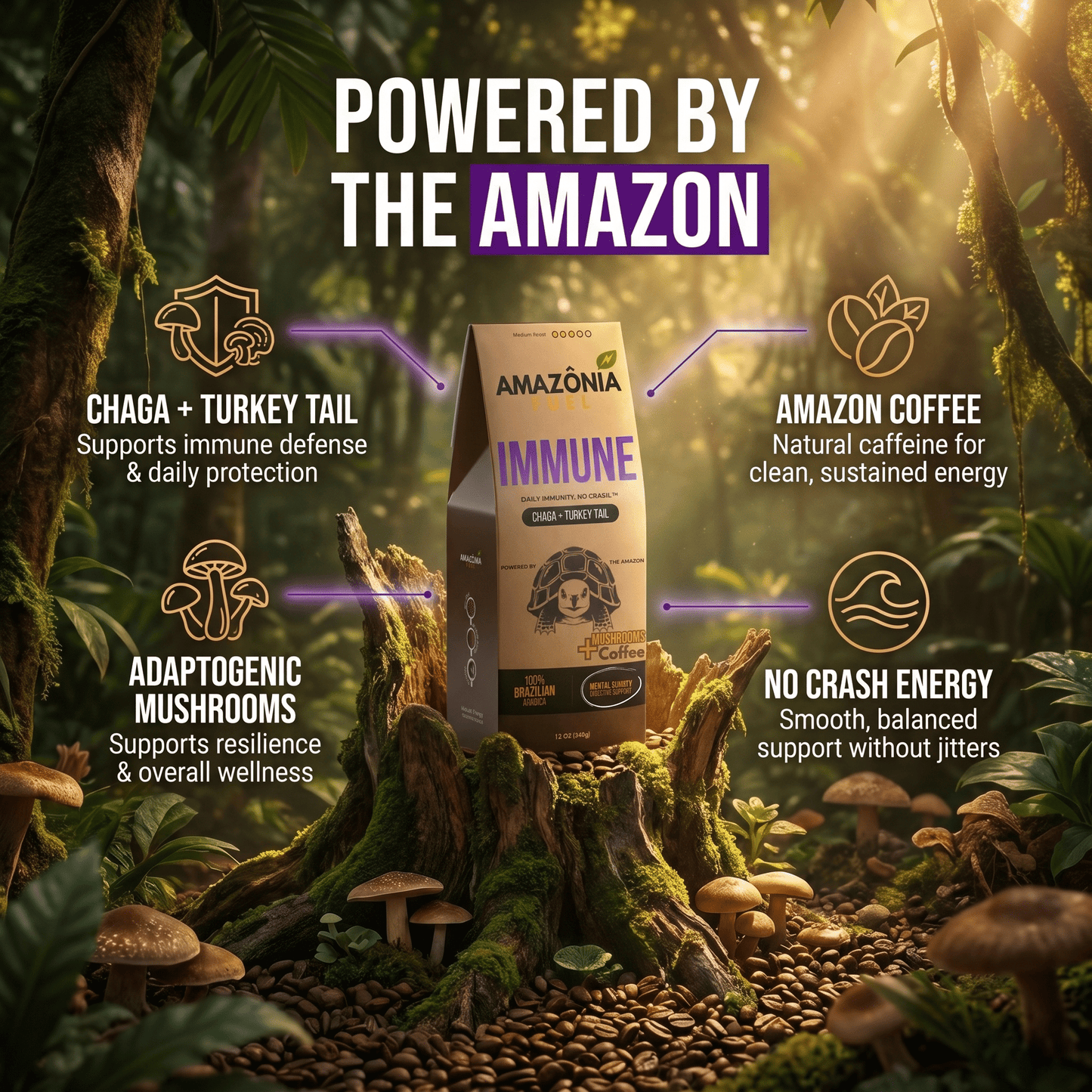 Immune Mushroom Coffee - Amazonia Fuel