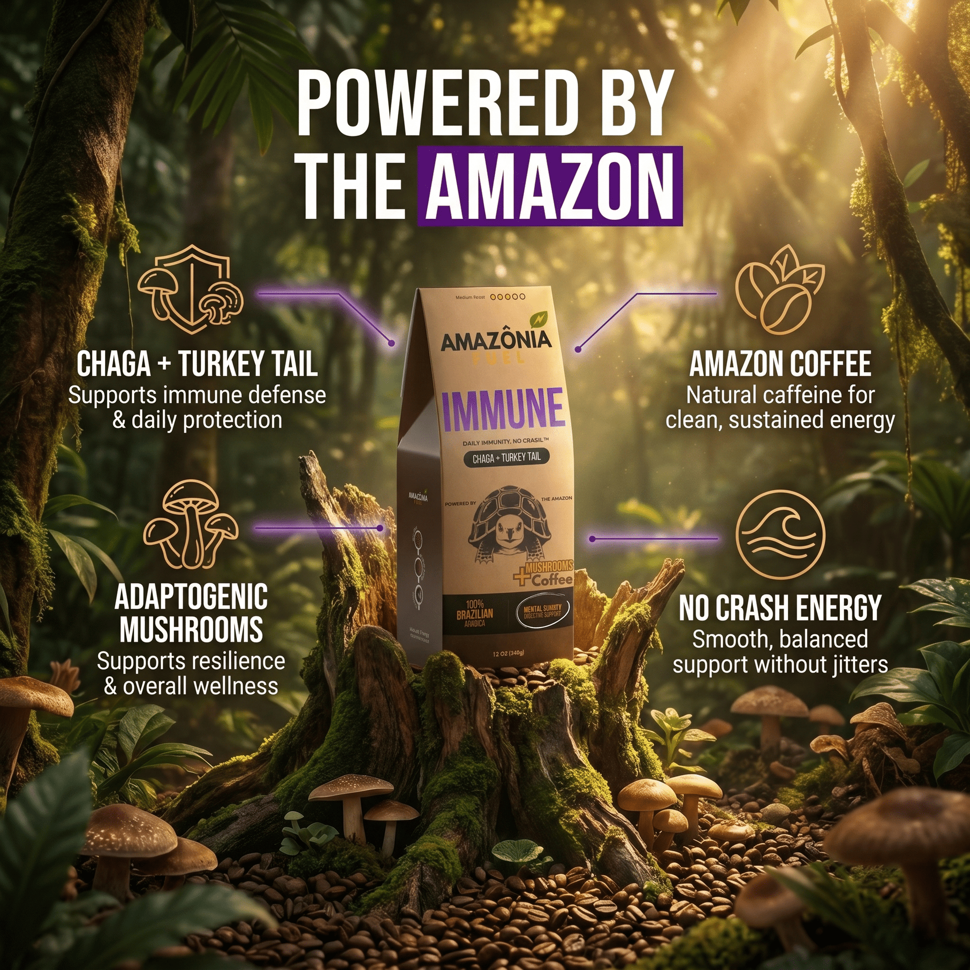 Immune Mushroom Coffee - Amazonia Fuel